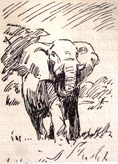 Bild Elefantenbulle von Uli Aschenborn